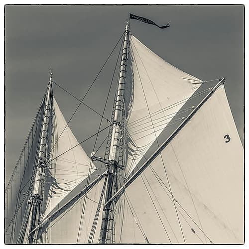 New England-Massachusetts-Cape Ann-Gloucester-Gloucester Schooner Festival-schooner sails Coastal Print